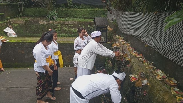 WhatsApp Image 2020-02-19 at 15.03.17.jpeg