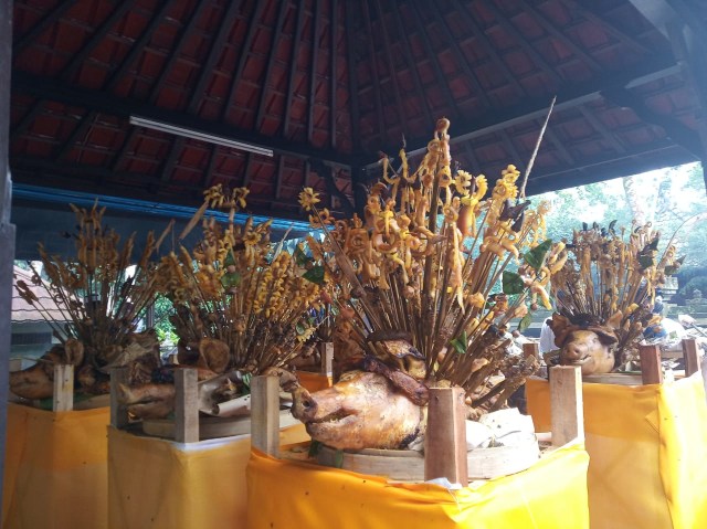 WhatsApp Image 2020-02-19 at 15.03.36.jpeg