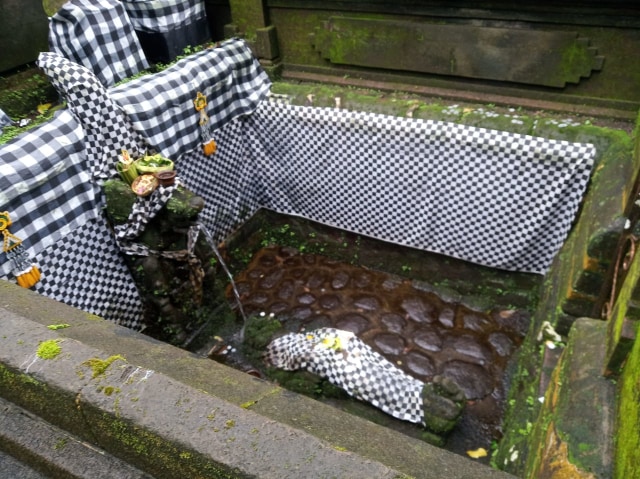 WhatsApp Image 2020-02-19 at 15.04.26.jpeg