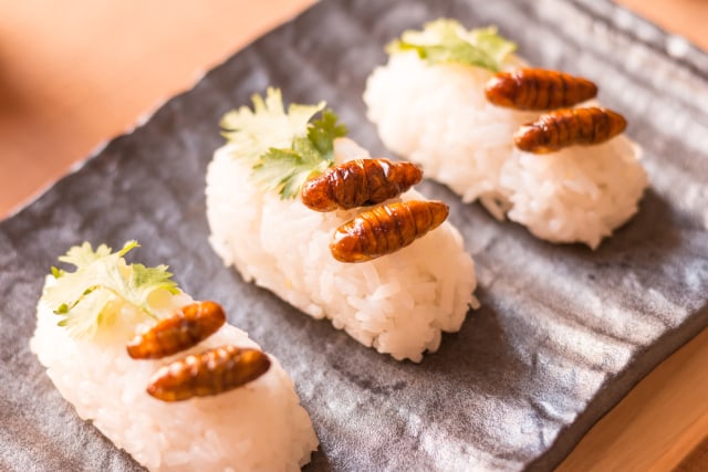 Ilustrasi sushi dengan ulat sagu. Foto: dok.shutterstock