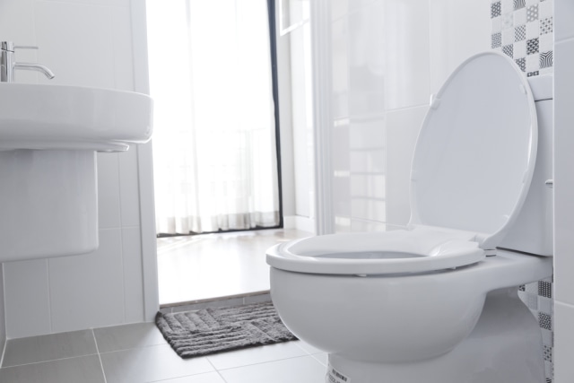 Ilustrasi toilet. Shutter Stock