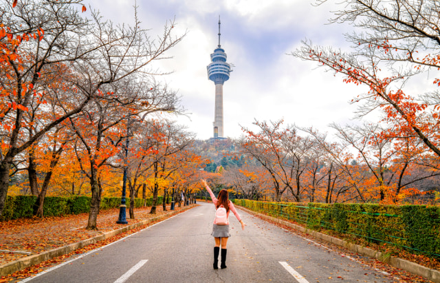 Wisatawan berkunjung ke 83 Tower di Kota Daegu, Korea Selatan Foto: Shutter Stock