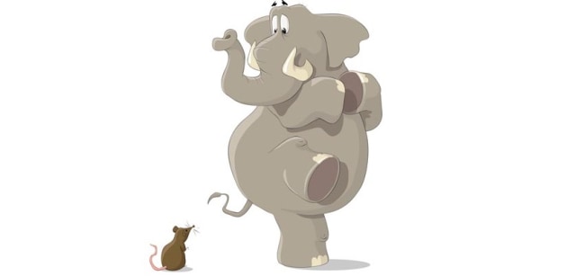 Benarkah Gajah  yang Besar Takut dengan Tikus yang Kecil 