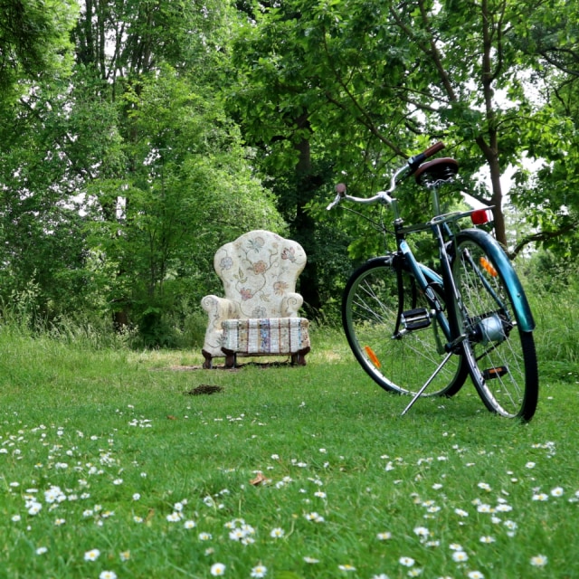 Sepeda bersandar di tengah Christchurch Botanic Garden yang menawan Foto: Helinsa Rasputri/kumparan