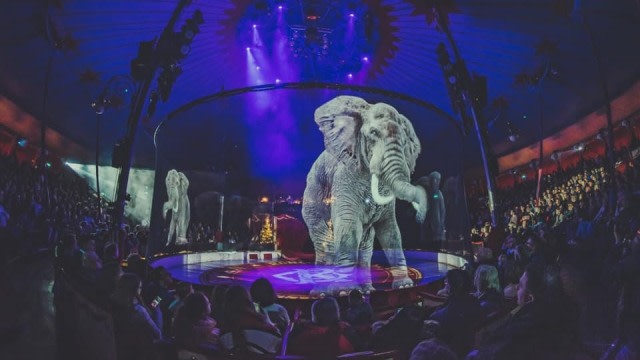 Hologram gajah yang ditampilkan oleh Circus Roncalli asal Jerman. Foto: Facebook: Circus Roncalli