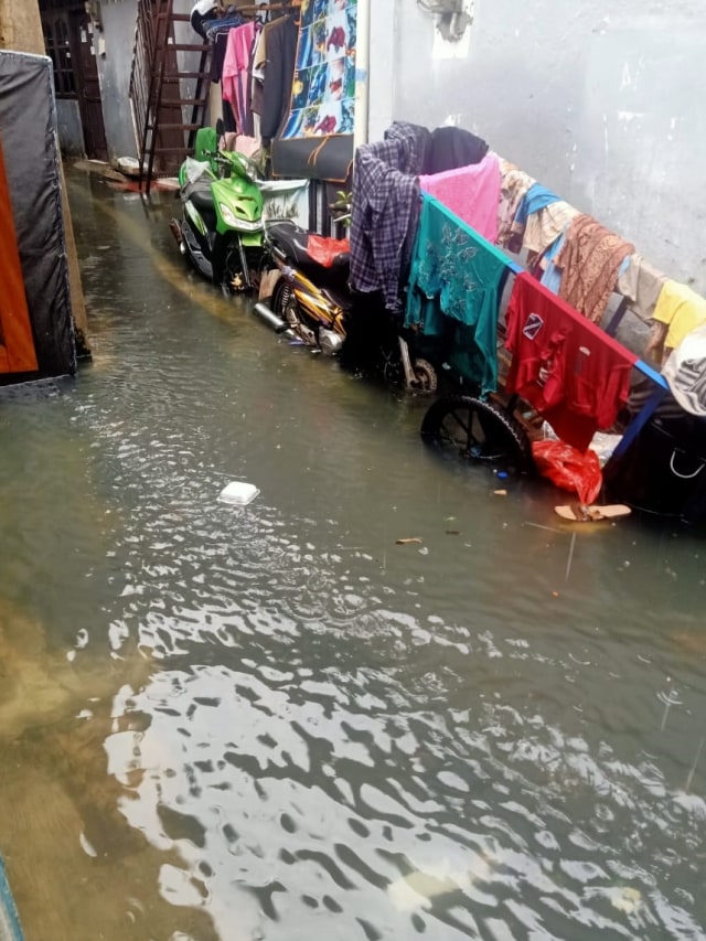 Banjir yang merendam Gang Kana, Jakarta Timur, Selasa (25/2).  Foto: Wisnu Prasetiyo/kumparan