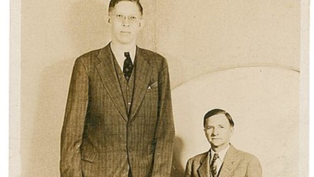 Orang Paling Tinggi Di Dunia Mengenal Manusia Tertinggi di Dunia Robert Wadlow 