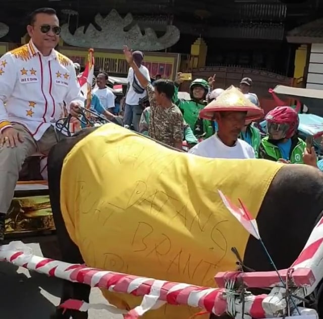 Irjen Pol (Purn) Ike Edwin yang menaiki gerobak sapi saat akan mendaftarkan sebagai Bakal Calon Wali Kota Bandar Lampung ke Kantor KPU Kota Bandar Lampung, Minggu (23/2) | Foto: Instagram @danggustiike_edwin85