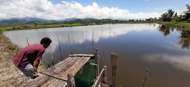 Nang, saat menunjukkan tambak miliknya yang tercemar limbah pertambangan, berada di Desa Latowu, Kecamatan Batu Putih, Kolaka Utara. Foto: Lukman Budianto/kendarinesia.