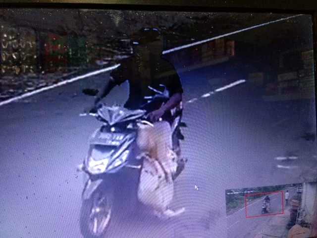 Capture rekaman CCTV pencurian kambing di Kecamatan Cilimus, Kabupaten Kuningan. (Andri Yanto)