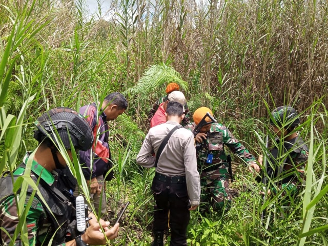 Aparat TNI Polri menemukan tanaman ganja di belakang perumahan pegawai Bandara Oksibil, Kabupaten Pegunungan Bintang. (Dok: Polda Papua)