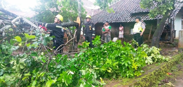 Petugas Damkar Kabupaten Kuningan memotong batang pohon tumbang. (Andri Yanto)