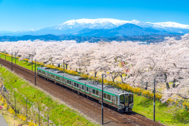 com-Ilustrasi Tohoku. Foto: Shutterstock