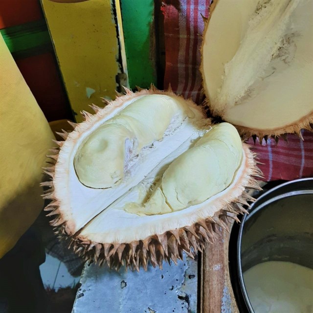 Ilustrasi durian. Foto: Azalia Amadea/Kumparan