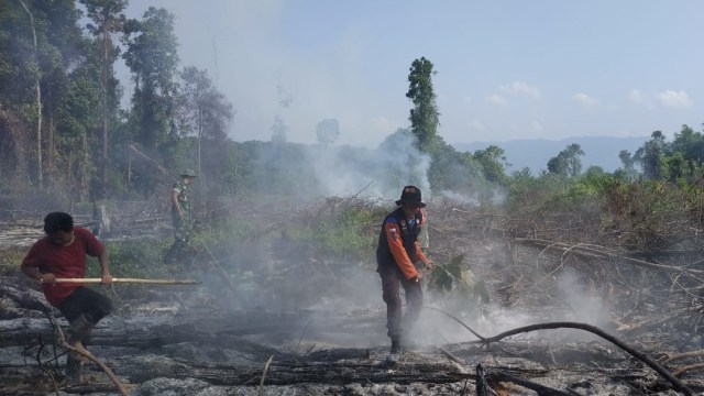 Penanganan kebakaran hutan di Cot Bayu, Trumong Tengah, Aceh Selatan, Minggu (1/3/2020). Dok. BPBA