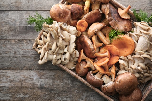 com-Berbagai jenis jamur banyak mengandung kolin. Foto: Shutterstock