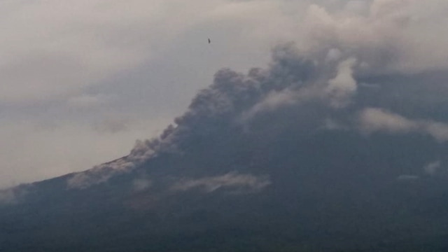 Gunung Semeru mengeluarkan awan panas, Senin (3/3). Foto: Dok. BNPB