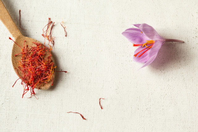 Bunga saffron Foto: Shutterstock/Patricia Chumillas