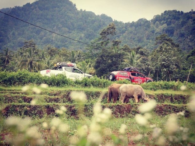 tanjakan mandalawangi.jpg