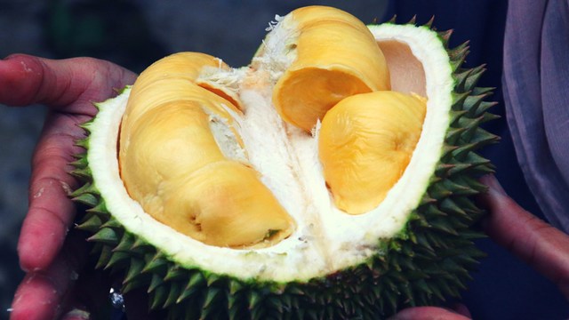 Durian Foto: Pixabay