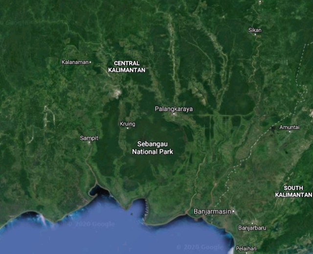 Sebangau National Park atau Taman Nasional Sebangau di Kalimantan Tengah, Indonesia. (Image by google earth)