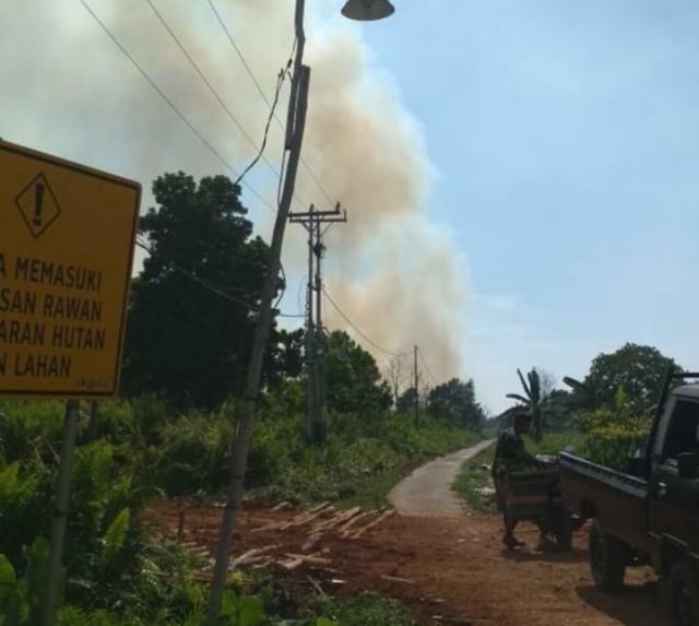 Kebakaran lahan yang terjadi di kawasan Pontianak Tenggara, Rabu sore (11/3). Foto: Dok BPBD Kota Pontianak