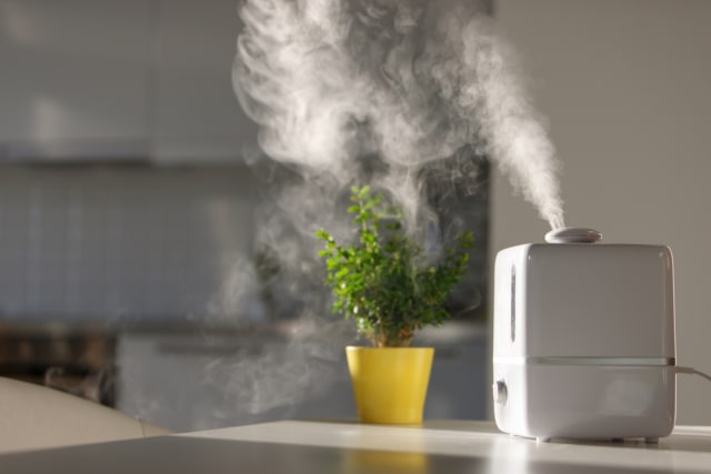 com-Ilustrasi air humidifier yang sedang menguap. Foto: Shutterstock