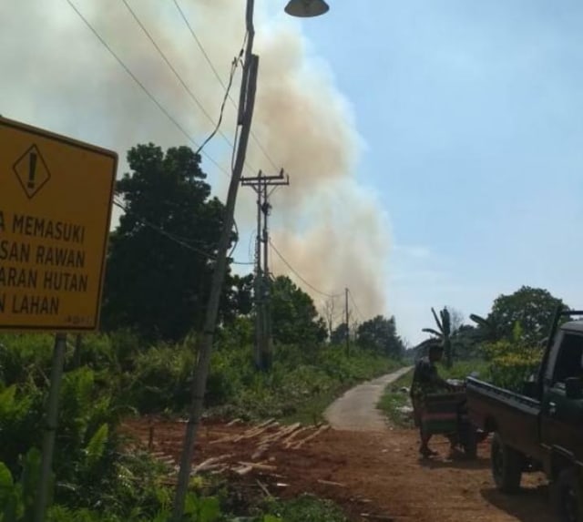 Pengakuan 2 Warga yang Tertangkap Membakar Lahan di Pontinak (179695)