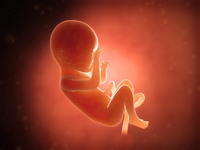 Ilustrasi bayi di dalam kandungan Foto: Shutterstock