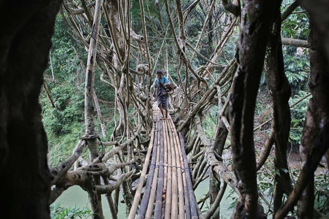 Warga Suku Baduy melintasi jembatan akar. Foto: Aditia Noviansyah