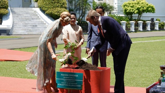 Penananam pohon cendana oleh Presiden Jokowi - Iriani dan Raja Willem-Alexander - Ratu Maxima di halaman Istana Bogor sebagai simbol persahabatan dua negara. Foto : Twitter @koninklijkhuis