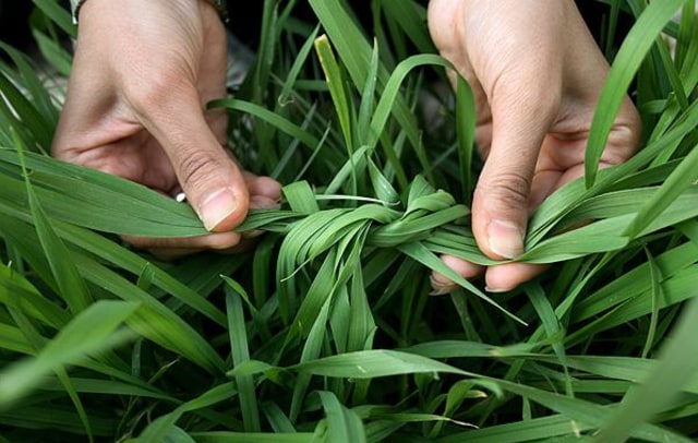 Nowruz, Tradisi Tahun Baru dengan Nuansa Lebaran (42524)
