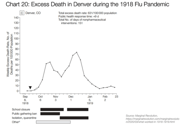 Mortalitas di Denver saat pandemi flu