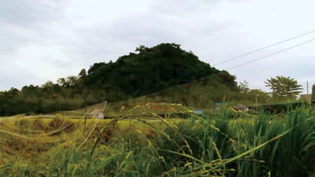 Gambar 1 Foto Gunung Siwakul dipotret dari arah selatan