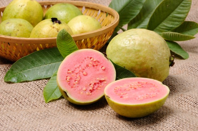 Jenis buah yang bisa digunakan untuk menyembuhkan penyakit demam berdarah adalah