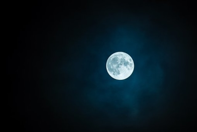 Untitled Image