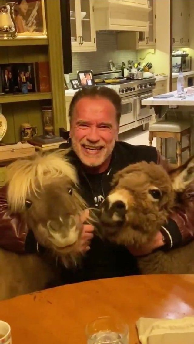 Arnold Schwarzenegger dan hewan peliharaannya. Foto: Twitter/@Schwarzenegger