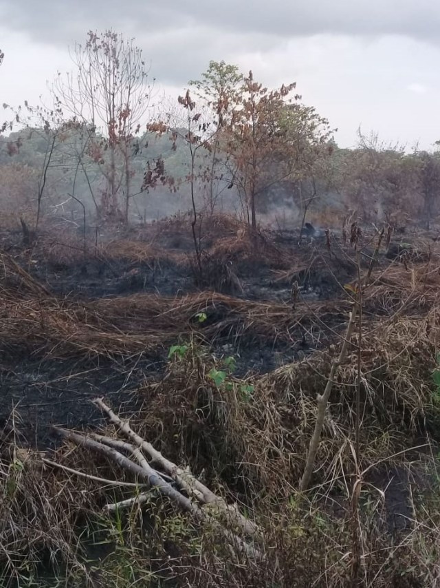 Lahan terbakar di Aceh Singkil. Dok. BPBA