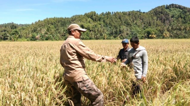 Penyuluh pertanian menemui para petani. Foto: Dok. Kementan