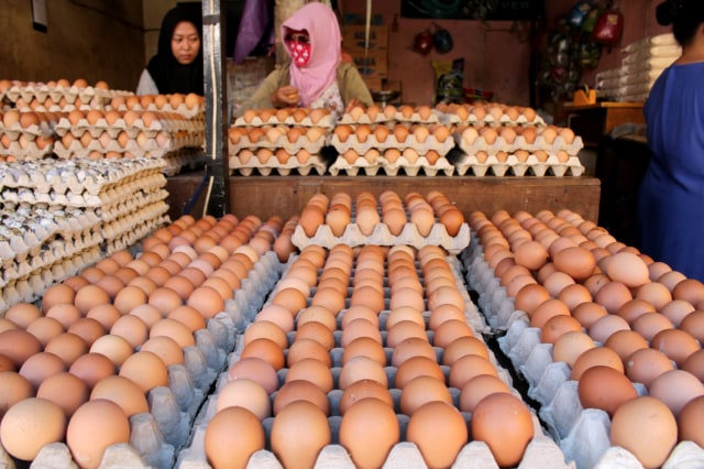 Penjual telur melayani pembeli di Pasar Terong, Makassar, Sulawesi Selatan, Rabu (18/3). Foto: ANTARA FOTO/Arnas Padda