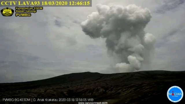 Gunung Anak Krakatau erupsi pada 18 Maret 2020 pukul 12.42 WIB Foto: Dok. Badan Geologi