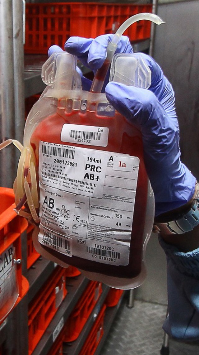Petugas menunjukkan stok darah di ruang penyimpanan Unit Transfusi Darah (UTD). Foto: ANTARA FOTO/Moch Asim