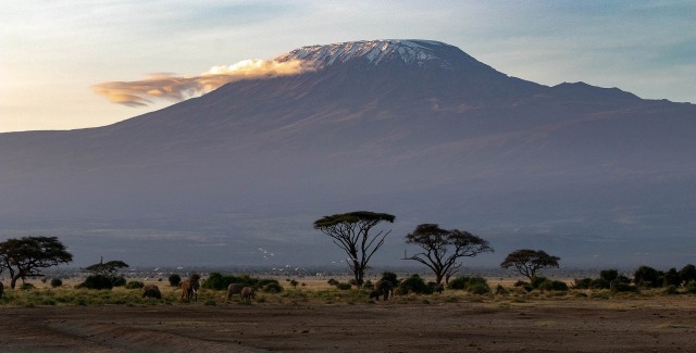 Gunung Kilimanjaro dilihat dari sisi Kenya. Sumber: pixabay.com 