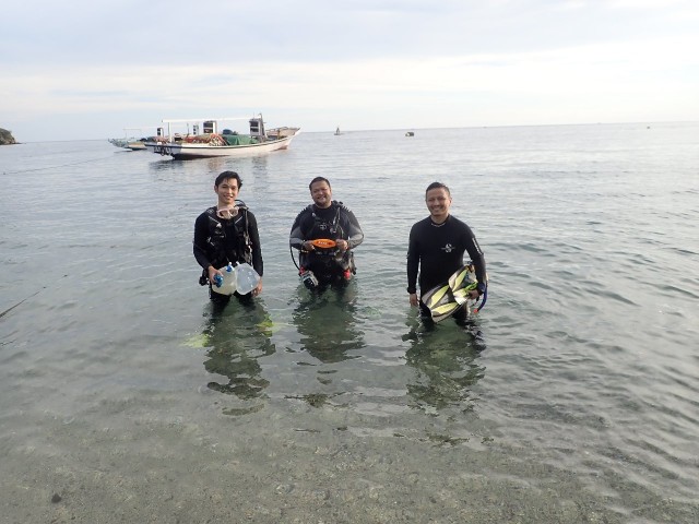 Peneliti IPB University: Hiu Paling Sering Muncul di Teluk Tomini, Gorontalo