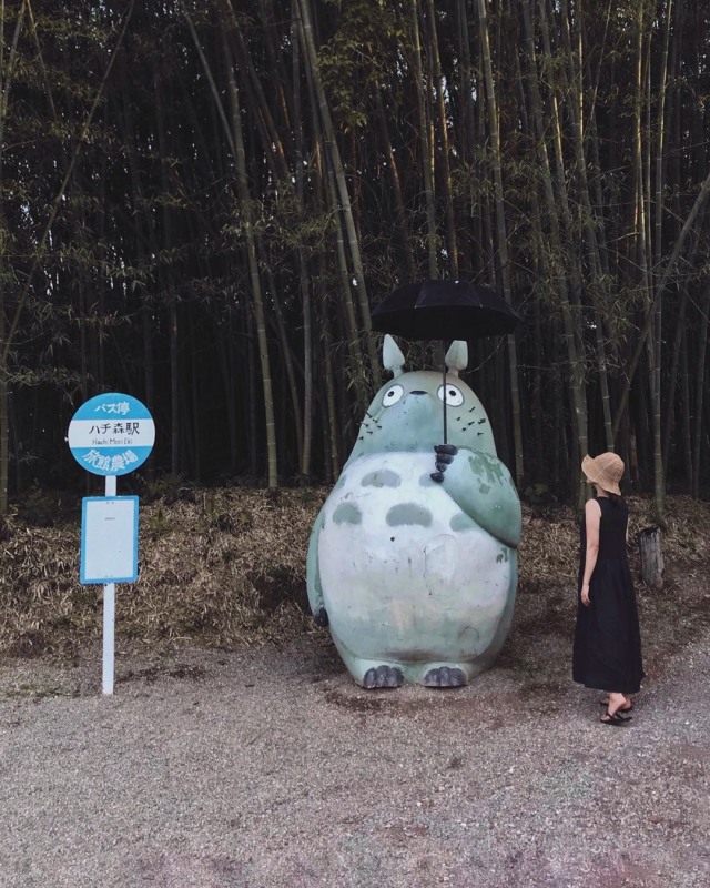 Terminal bus Totoro di Jepang yang ikonik. Foto: Instagram @sangisnice