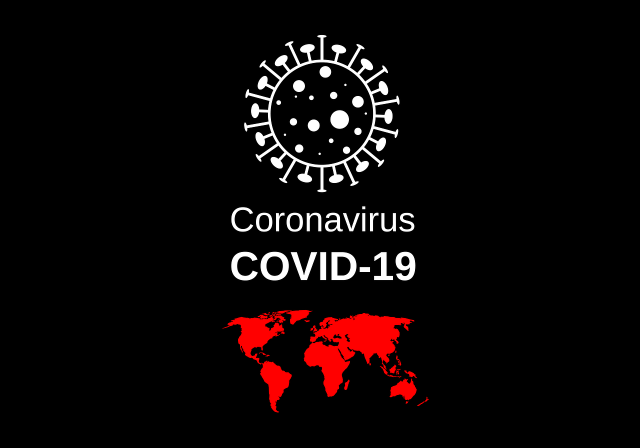 Ilustrasi Covid-19 yang merupakan pandemic global (Pixabay/Alexey Hulsov)