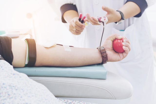 Ilustrasi donor darah. Foto: Shutterstock