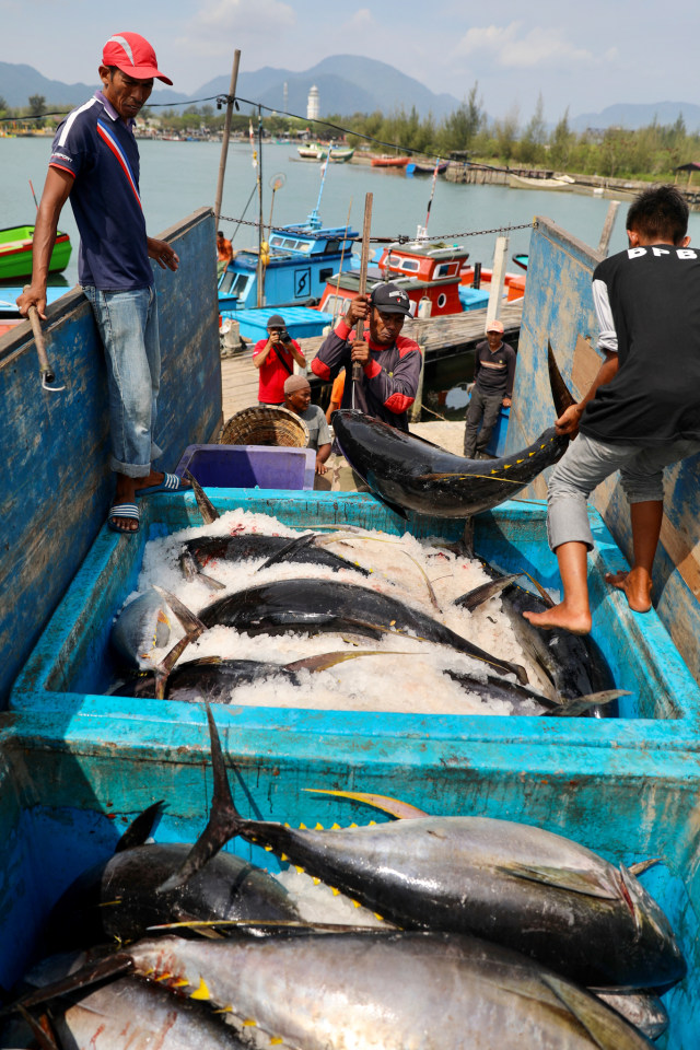 Ikan tuna hasil tangkapan nelayan Aceh. Foto: Suparta/acehkini