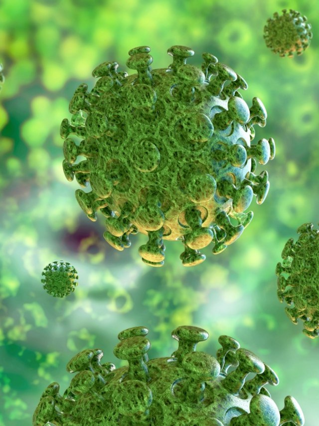 ilustrasi virus corona yang sebabkan penyakit infeksi covid-19 Foto: Shutterstock