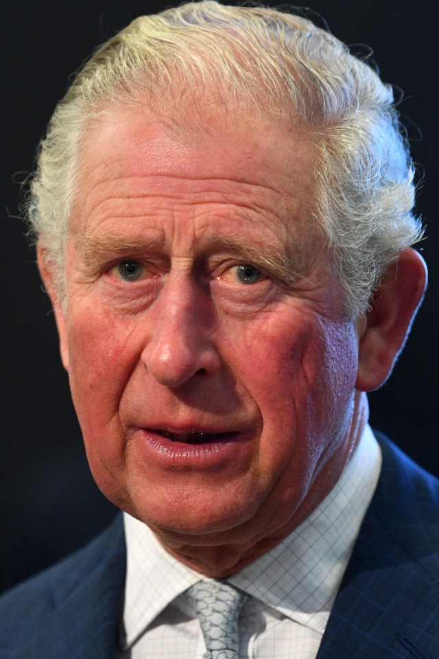 Pangeran Charles. Foto: AFP/VICTORIA JONES